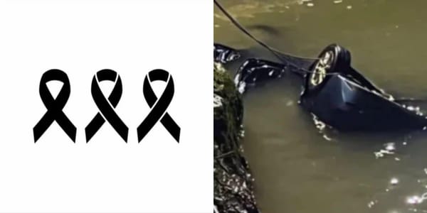 უყურებდნენ როგორ წვალობდნენ და ქვებს ესროდნენ თურმე მანქანის მინა რომ ჩაემტვრიათ და ამოეყვანათ - ახალი დეტალები გარდაცვლილებზე